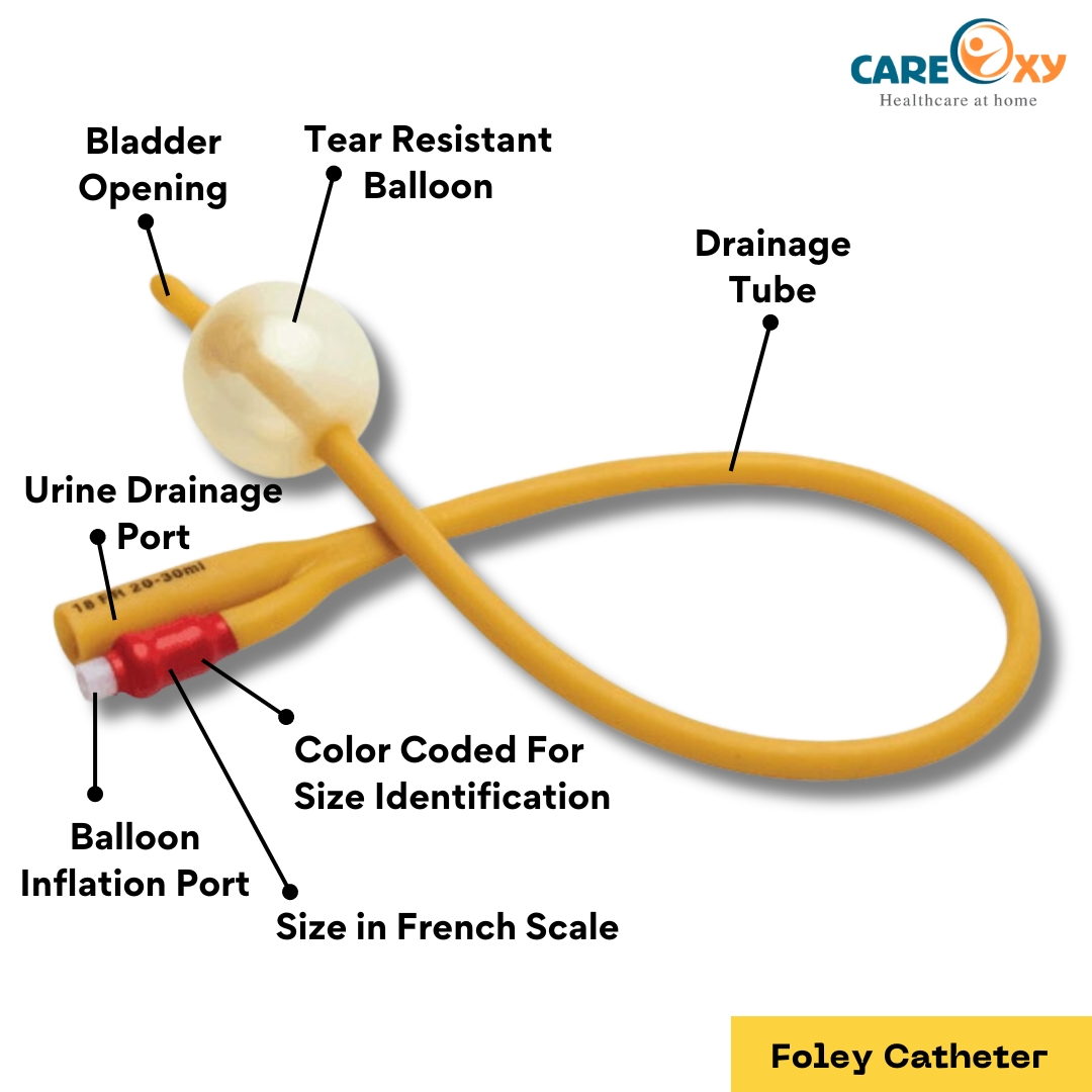 Foley Catheter