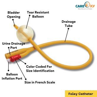 Foley Catheter